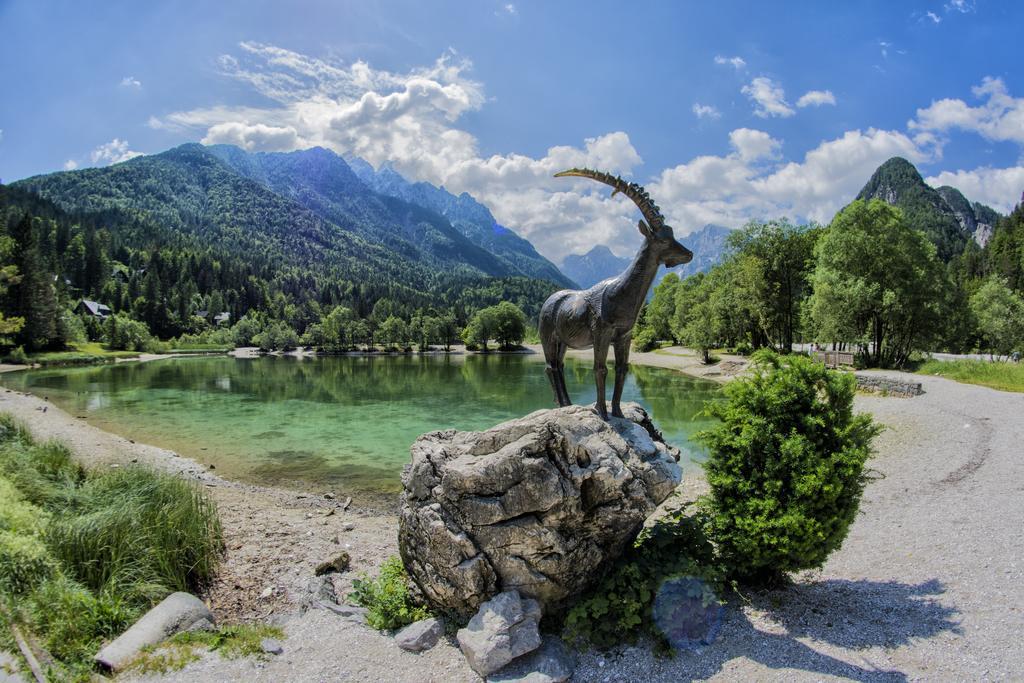A Million Dollar View Appartement Kranjska Gora Buitenkant foto